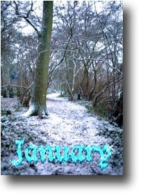 Bleak January