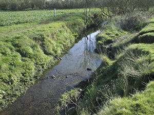 Potters Bar Brook