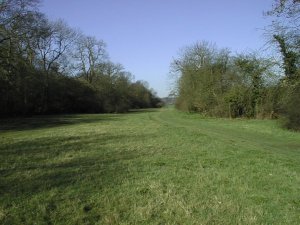 The Meadow looking west